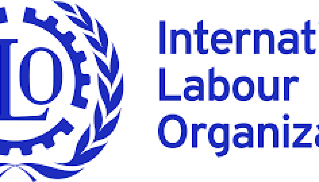 Finance and Procurement Officer Vacancy-Job Ref: GJTRILO/2308/202439