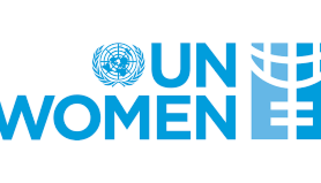 International or National Gender Responsive Budgeting Expert Vacancy-Job Ref: GJTRUNWOMEN/2308/202427